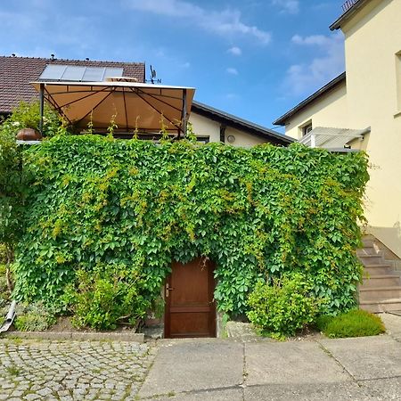 Wolfsbergblick Daire Reinhardtsdorf-Schona Dış mekan fotoğraf