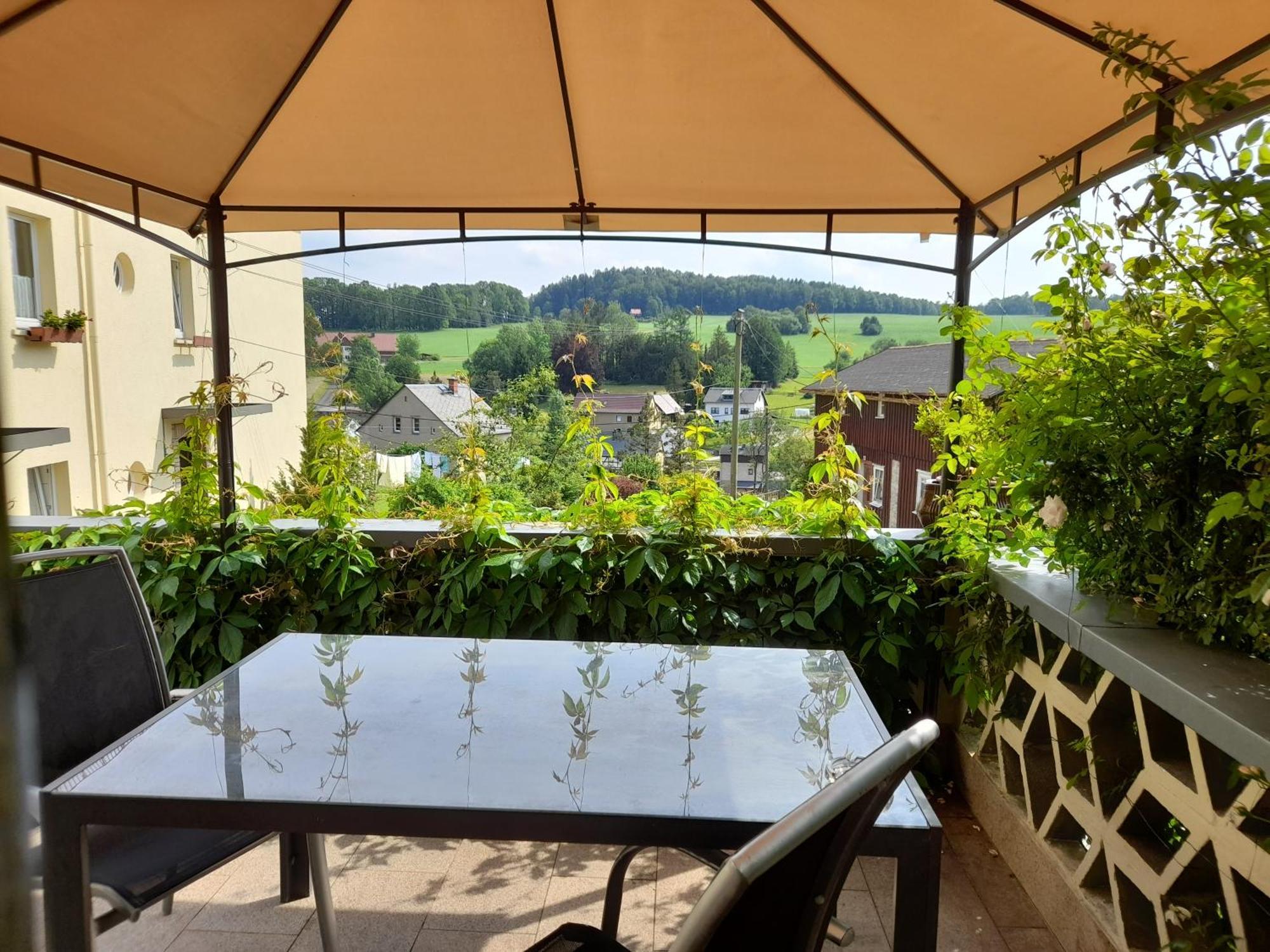 Wolfsbergblick Daire Reinhardtsdorf-Schona Dış mekan fotoğraf